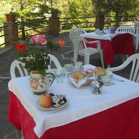 Hotel Il Poggetto Кастелліна-Мариттіма Екстер'єр фото